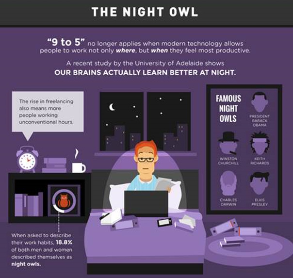 Night Owl Graphic